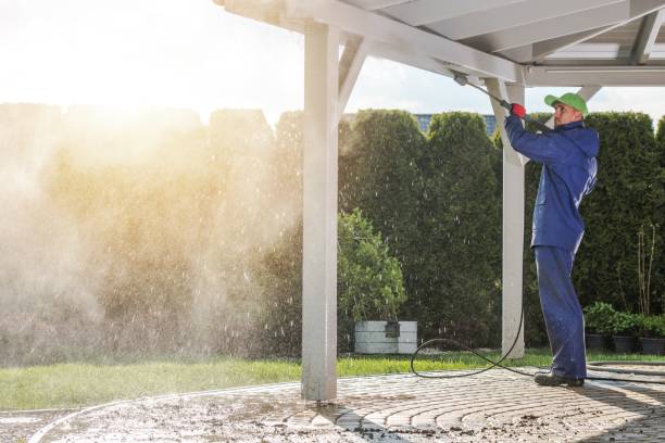 Trusted Samson, AL Pressure Washing Services Experts